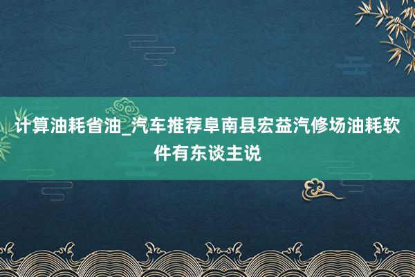 计算油耗省油_汽车推荐阜南县宏益汽修场油耗软件有东谈主说